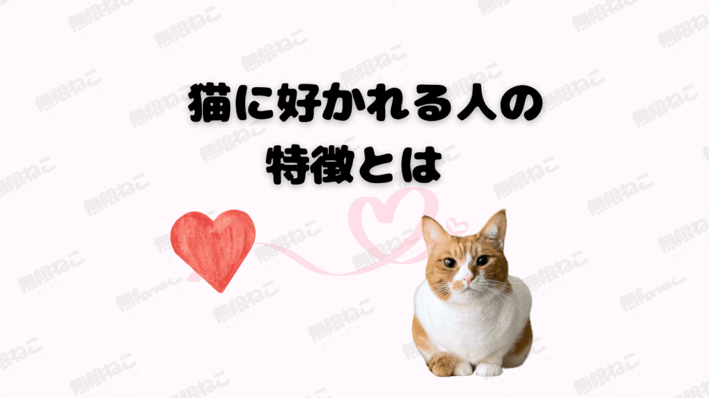 猫に好かれる人の特徴とは